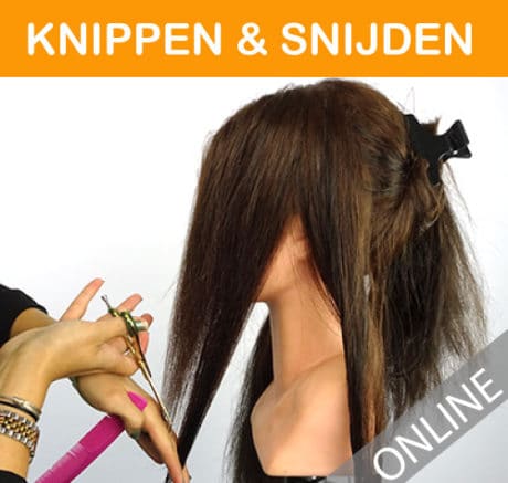 knippen-snijden-categorie-cirsus-hair-extensions-hairextensions