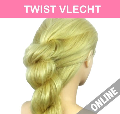 Twist braid how to do online course to make this beautiful hairstyle.