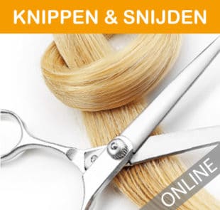 cursus-hairextensions-online